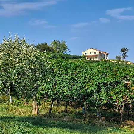 Agriturismo Riva Beata Cavaso Del Tomba Dış mekan fotoğraf