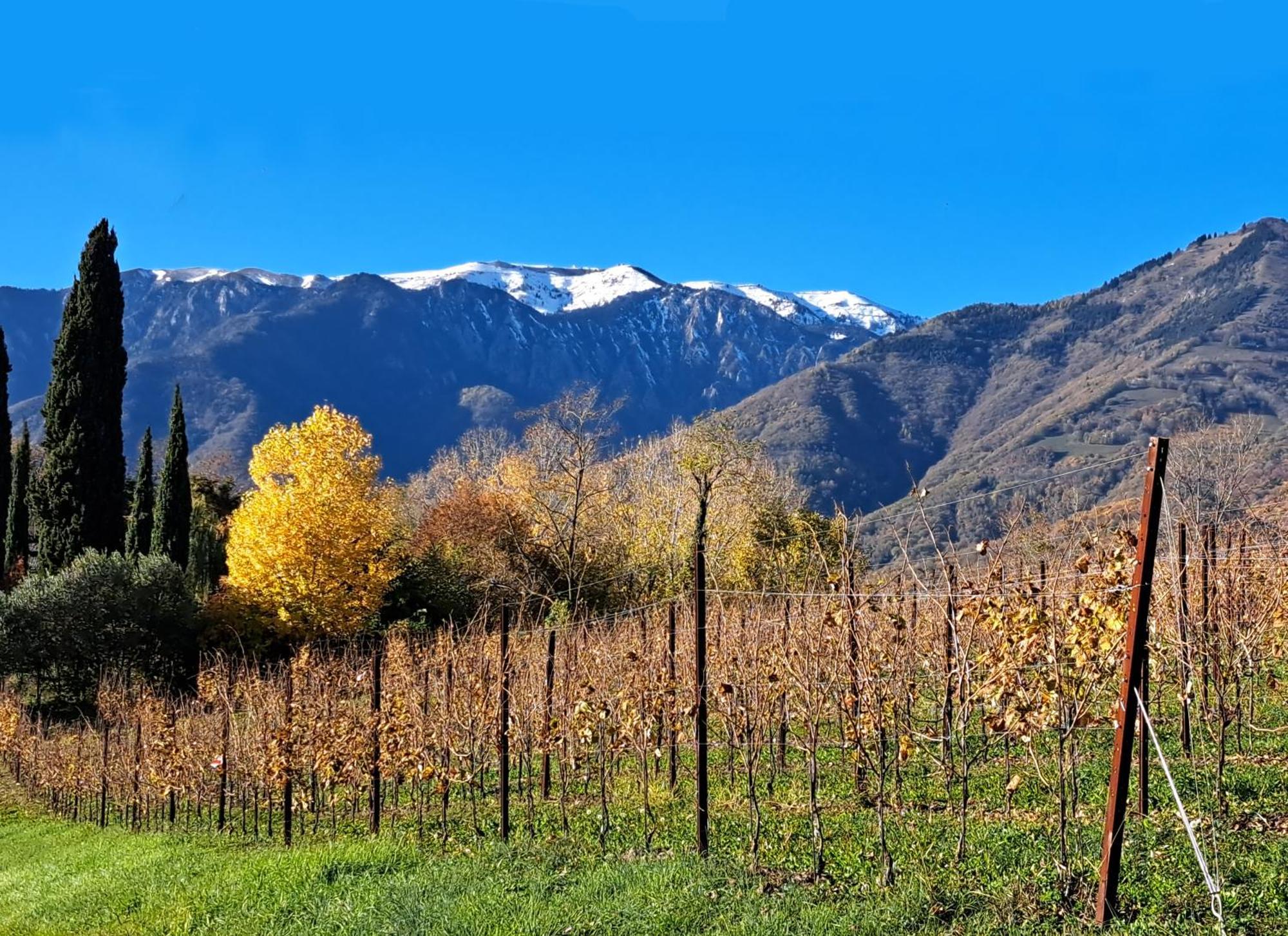 Agriturismo Riva Beata Cavaso Del Tomba Dış mekan fotoğraf