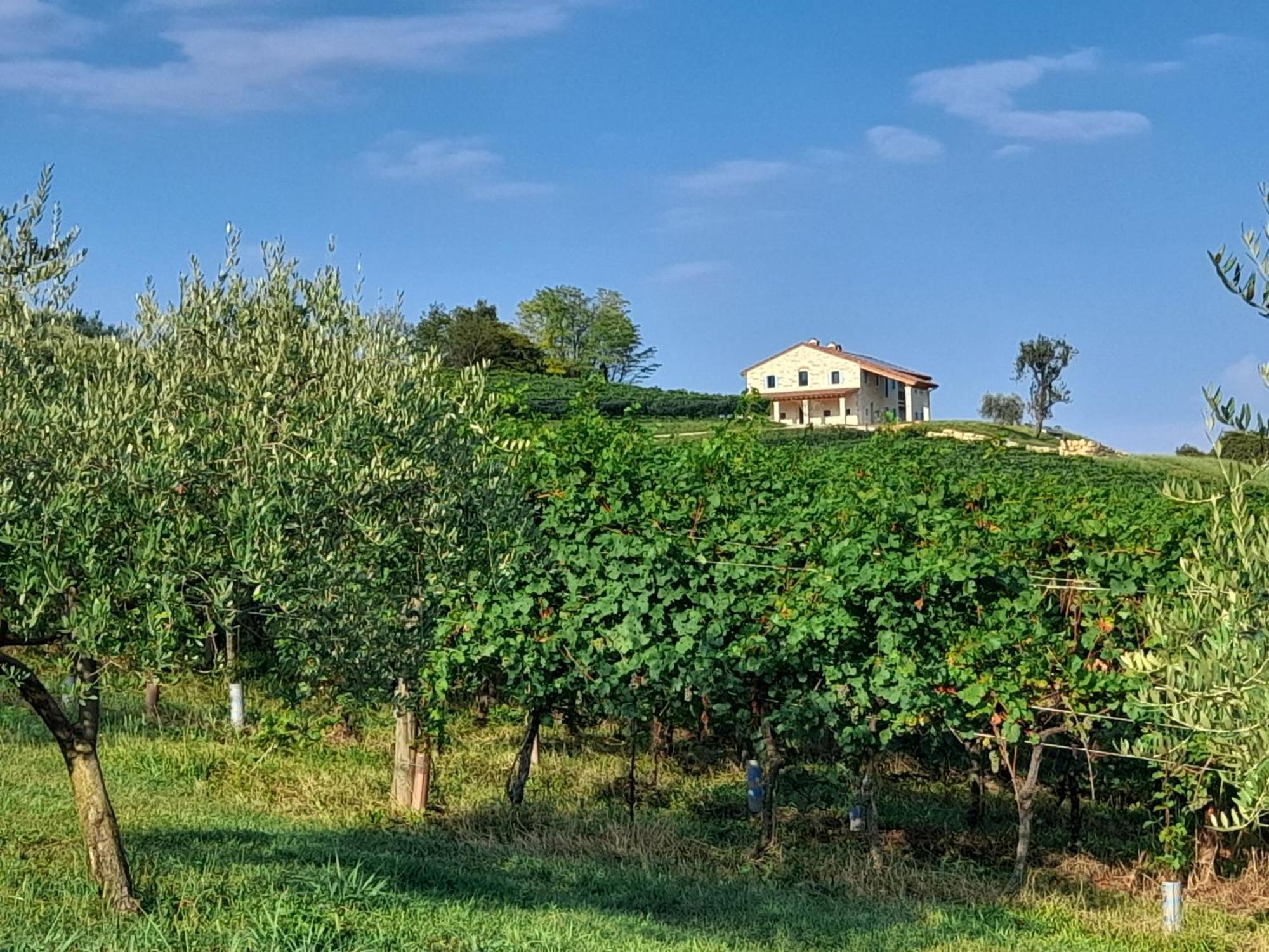 Agriturismo Riva Beata Cavaso Del Tomba Dış mekan fotoğraf