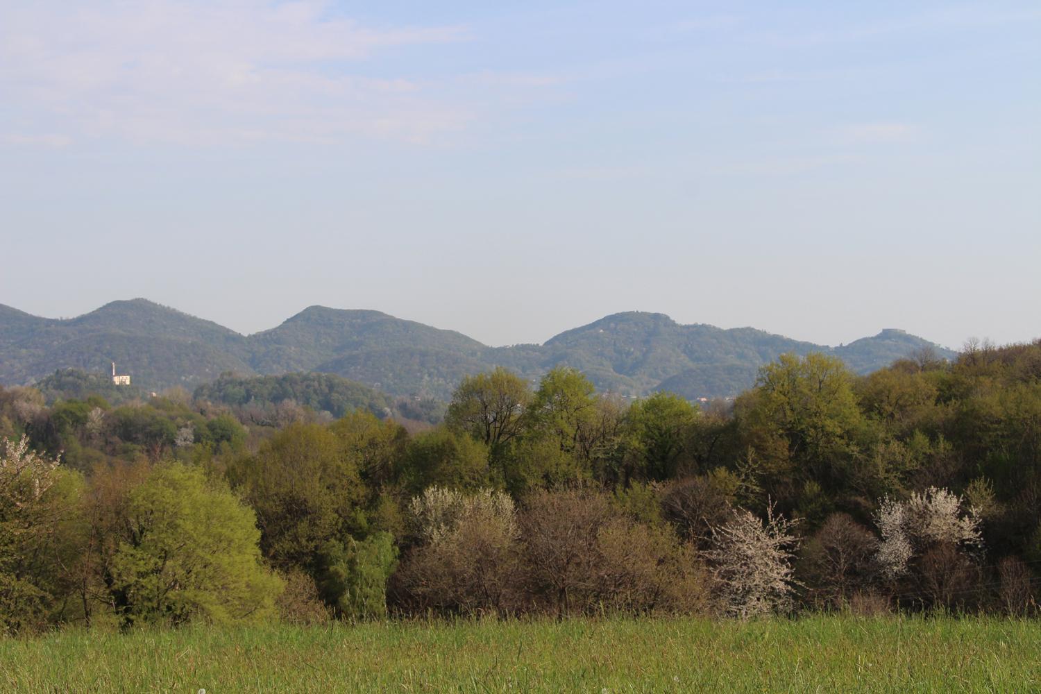 Agriturismo Riva Beata Cavaso Del Tomba Dış mekan fotoğraf